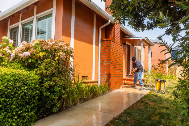 Best Pressure Washing Company Near Me  in Coldwater, MS